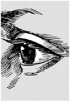 Иллюстрация к книге — Уравнение счастья [i_007.jpg]