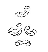 Иллюстрация к книге — Палитра питания. Легкий путь к стройности [Autogen_eBook_id114.jpg]