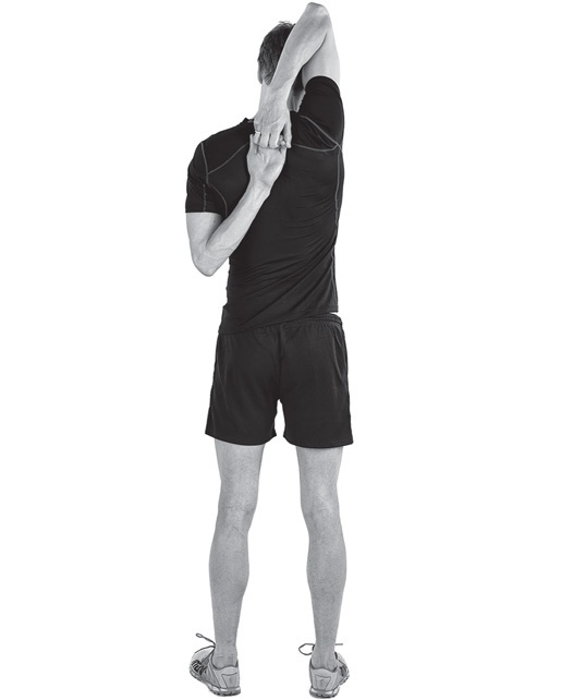 Иллюстрация к книге — Бегайте быстрее, дольше и без травм [i_013.jpg]