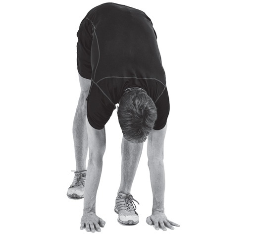 Иллюстрация к книге — Бегайте быстрее, дольше и без травм [i_022.jpg]