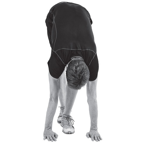 Иллюстрация к книге — Бегайте быстрее, дольше и без травм [i_023.jpg]