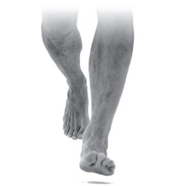 Иллюстрация к книге — Бегайте быстрее, дольше и без травм [i_046.jpg]