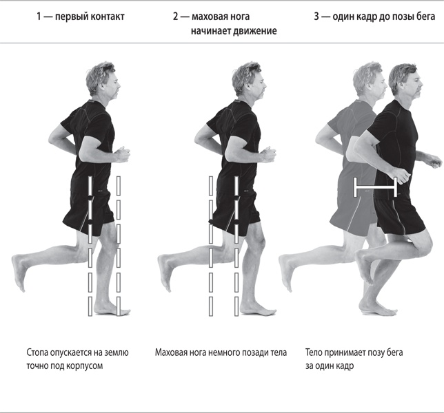 Иллюстрация к книге — Бегайте быстрее, дольше и без травм [i_115.jpg]