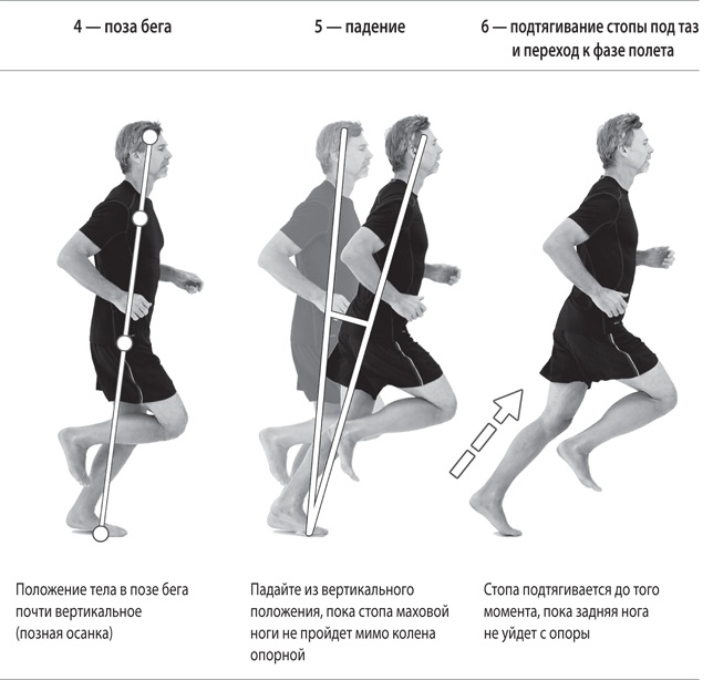 Иллюстрация к книге — Бегайте быстрее, дольше и без травм [i_116.jpg]