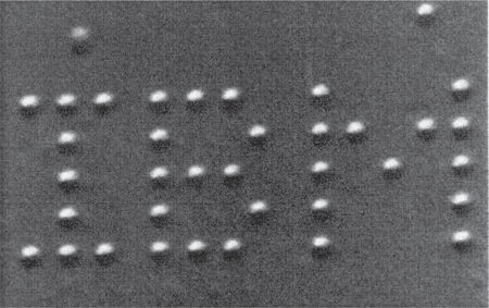 Иллюстрация к книге — Вселенная внутри вас [i_003.jpg]