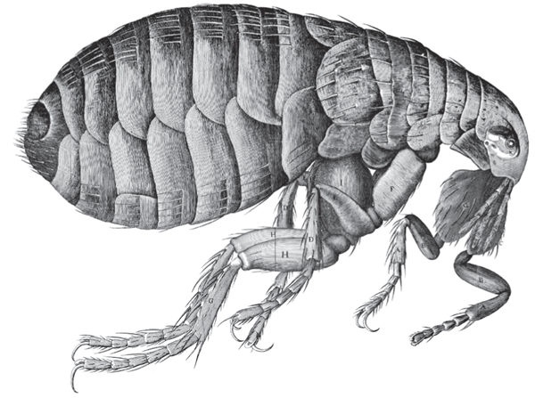 Иллюстрация к книге — Вселенная внутри вас [i_005.jpg]