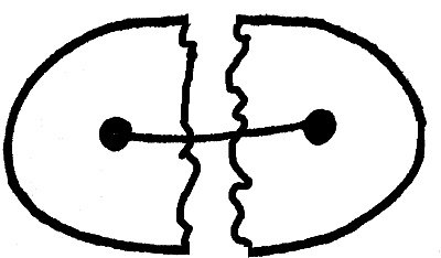 Иллюстрация к книге — Сила материнской любви [b.jpg]