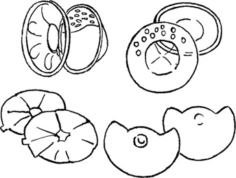 Иллюстрация к книге — Как быть счастливой мамой довольного малыша от 0 до 1 года [i_010.jpg]