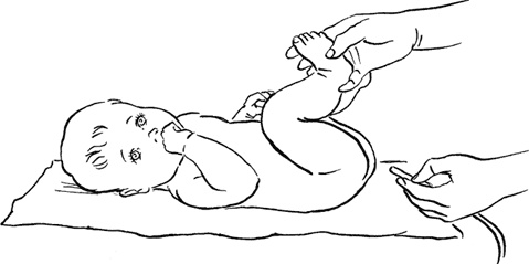 Иллюстрация к книге — Как быть счастливой мамой довольного малыша от 0 до 1 года [i_026.jpg]