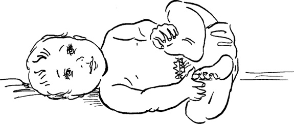 Иллюстрация к книге — Как быть счастливой мамой довольного малыша от 0 до 1 года [i_073.jpg]