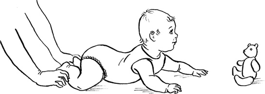 Иллюстрация к книге — Как быть счастливой мамой довольного малыша от 0 до 1 года [i_093.jpg]