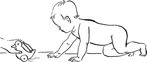 Иллюстрация к книге — Как быть счастливой мамой довольного малыша от 0 до 1 года [i_140.jpg]