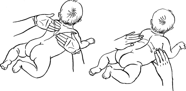 Иллюстрация к книге — Как быть счастливой мамой довольного малыша от 0 до 1 года [i_202.jpg]