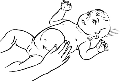 Иллюстрация к книге — Как быть счастливой мамой довольного малыша от 0 до 1 года [i_203.jpg]