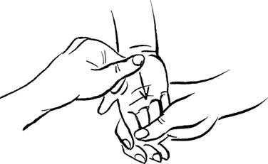 Иллюстрация к книге — Как быть счастливой мамой довольного малыша от 0 до 1 года [i_221.jpg]