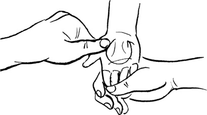 Иллюстрация к книге — Как быть счастливой мамой довольного малыша от 0 до 1 года [i_223.jpg]