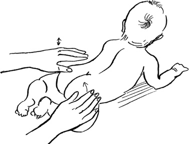 Иллюстрация к книге — Как быть счастливой мамой довольного малыша от 0 до 1 года [i_231.jpg]