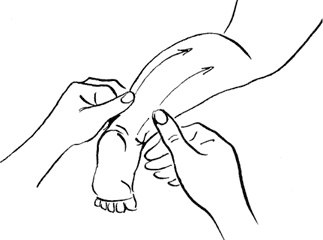 Иллюстрация к книге — Как быть счастливой мамой довольного малыша от 0 до 1 года [i_233.jpg]