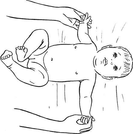 Иллюстрация к книге — Как быть счастливой мамой довольного малыша от 0 до 1 года [i_246.jpg]