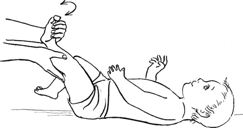 Иллюстрация к книге — Как быть счастливой мамой довольного малыша от 0 до 1 года [i_278.jpg]