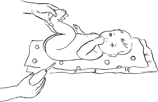 Иллюстрация к книге — Как быть счастливой мамой довольного малыша от 0 до 1 года [i_330.jpg]