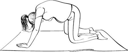 Иллюстрация к книге — Как легко родить, или Путеводитель по родам [_17.jpg]