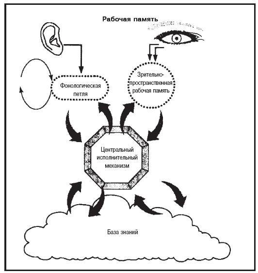 Иллюстрация к книге — Мысленные образы. Когнитивный подход [i_006.jpg]