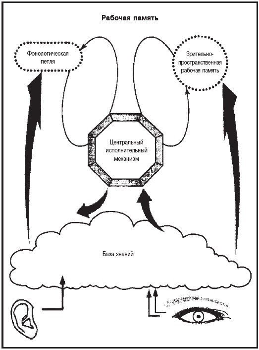 Иллюстрация к книге — Мысленные образы. Когнитивный подход [i_007.jpg]