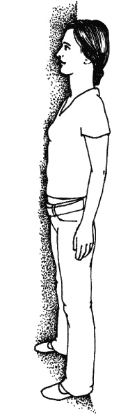 Иллюстрация к книге — Тайны &quot;кремлевской&quot; фигуромоделирующей гимнастики [i_001.jpg]