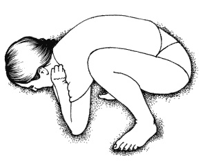 Иллюстрация к книге — Тайны &quot;кремлевской&quot; фигуромоделирующей гимнастики [i_002.jpg]