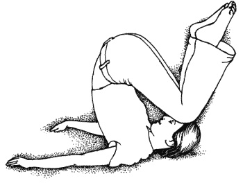 Иллюстрация к книге — Тайны &quot;кремлевской&quot; фигуромоделирующей гимнастики [i_003.jpg]