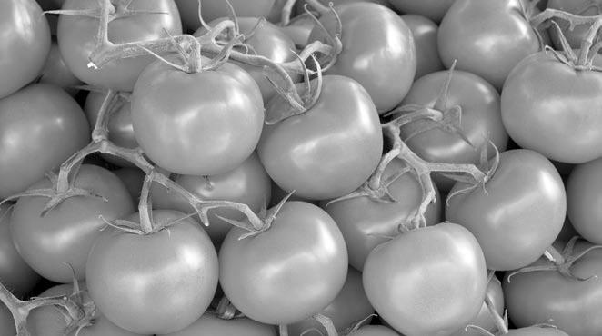 Иллюстрация к книге — Чистим сосуды, укрепляем иммунитет. Лечебное питание для омоложения организма [i_027.jpg]