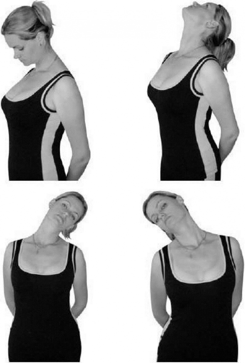 Иллюстрация к книге — Лечебное питание при болезнях позвоночника и суставов [i_001.jpg]