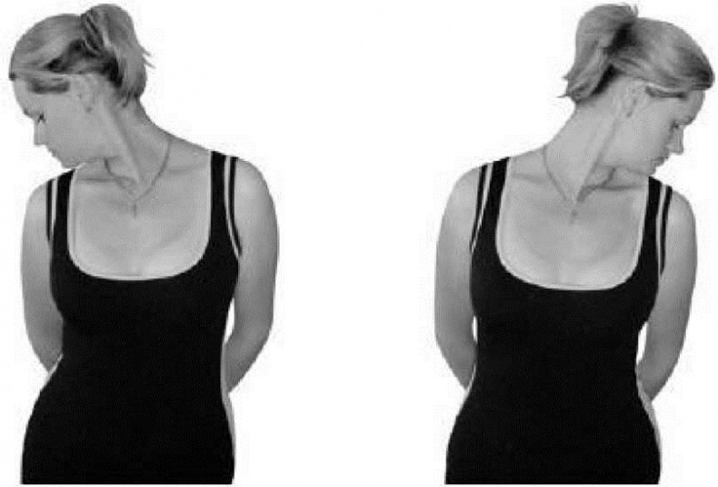 Иллюстрация к книге — Лечебное питание при болезнях позвоночника и суставов [i_002.jpg]