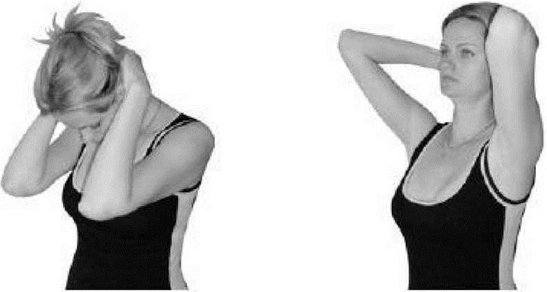 Иллюстрация к книге — Лечебное питание при болезнях позвоночника и суставов [i_004.jpg]