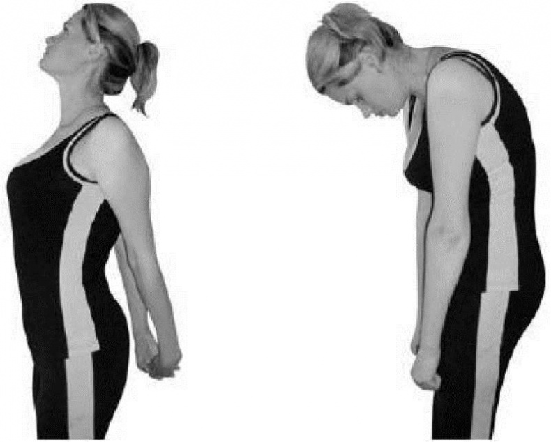 Иллюстрация к книге — Лечебное питание при болезнях позвоночника и суставов [i_007.jpg]