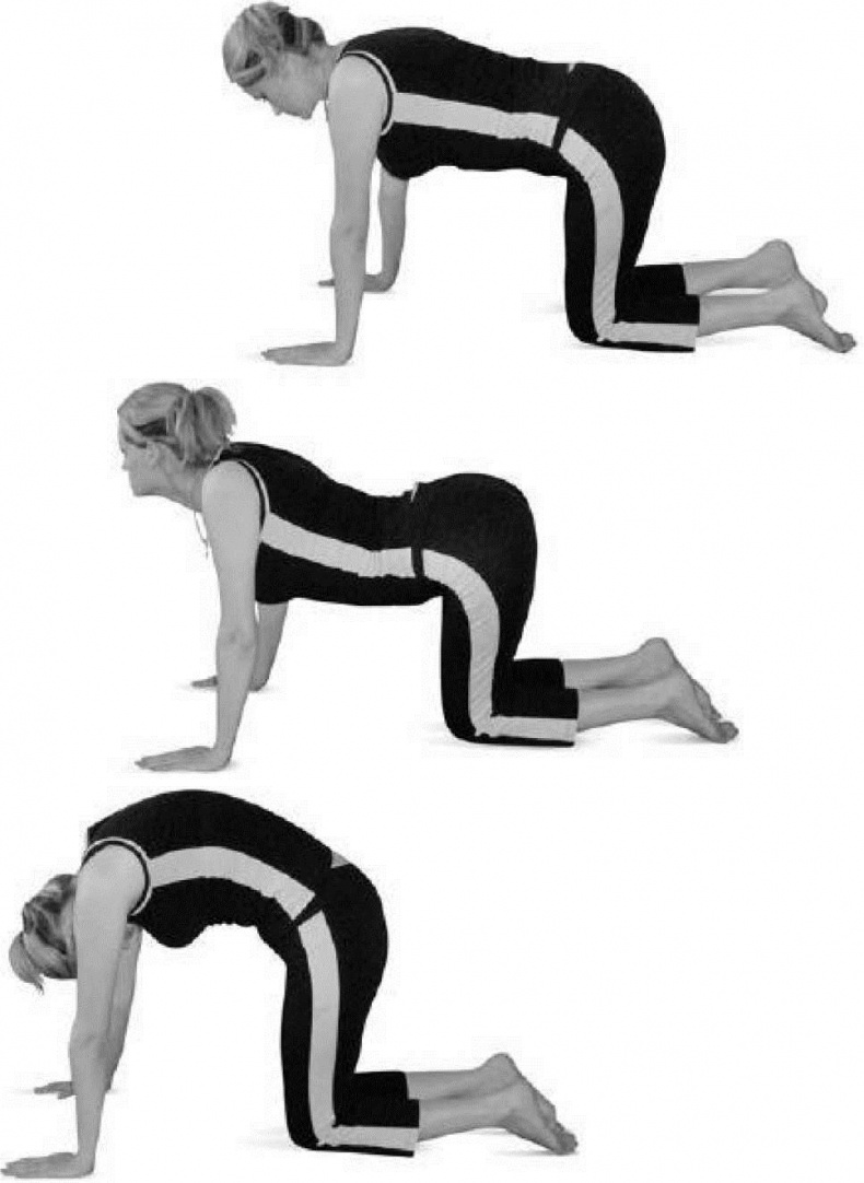 Иллюстрация к книге — Лечебное питание при болезнях позвоночника и суставов [i_014.jpg]