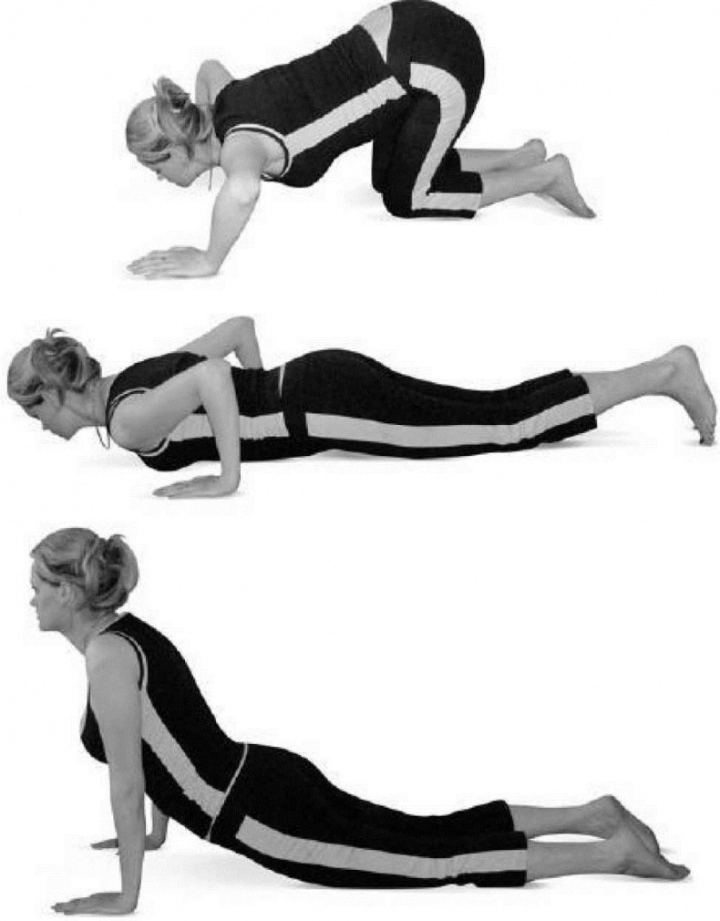 Иллюстрация к книге — Лечебное питание при болезнях позвоночника и суставов [i_015.jpg]