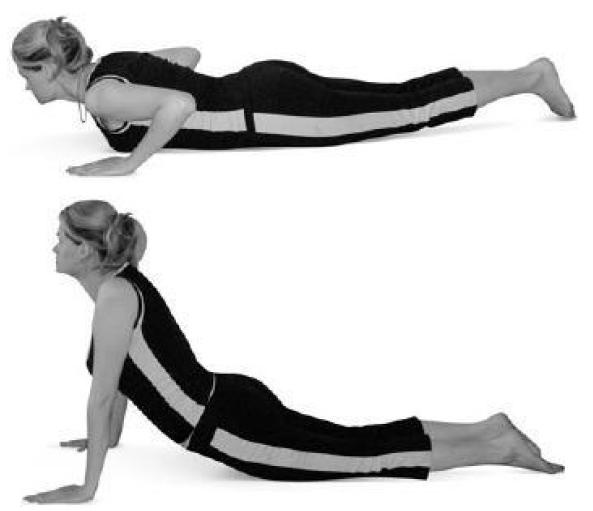 Иллюстрация к книге — Лечебное питание при болезнях позвоночника и суставов [i_021.jpg]