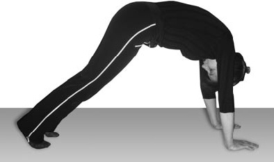 Иллюстрация к книге — Избавляемся от паразитов и болезней навсегда [_32.jpg]