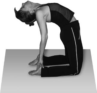 Иллюстрация к книге — Избавляемся от паразитов и болезней навсегда [_54.jpg]