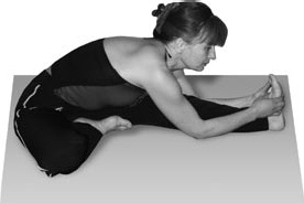 Иллюстрация к книге — Избавляемся от паразитов и болезней навсегда [_58.jpg]