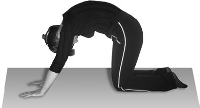 Иллюстрация к книге — Избавляемся от паразитов и болезней навсегда [_61.jpg]