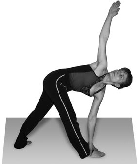 Иллюстрация к книге — Избавляемся от паразитов и болезней навсегда [_64.jpg]