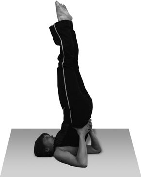 Иллюстрация к книге — Избавляемся от паразитов и болезней навсегда [_69.jpg]