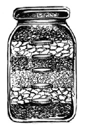 Иллюстрация к книге — Я выбираю счастливую жизнь! [banka.jpg]