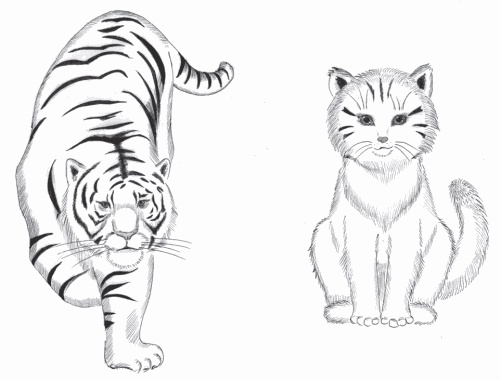 Иллюстрация к книге — Успешные дети счастливых родителей [_12.jpg]