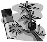 Иллюстрация к книге — Здоровые стопы [i_038.jpg]