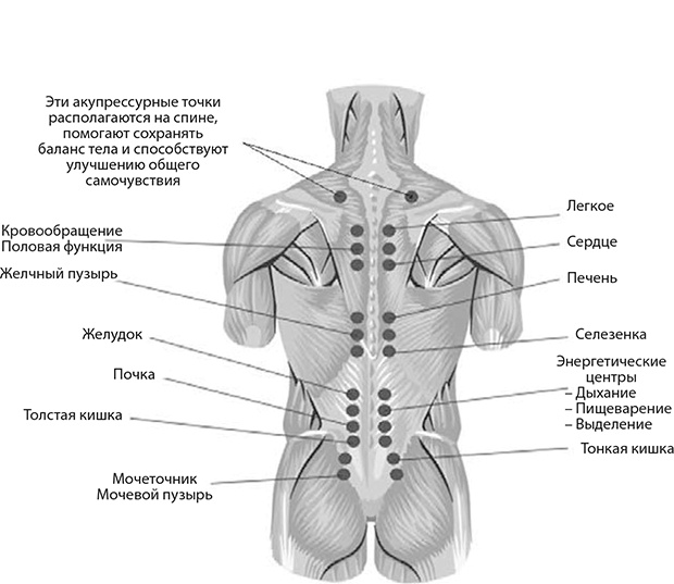 Иллюстрация к книге — Здоровые стопы [i_045.jpg]