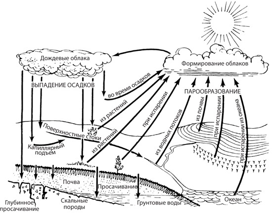 Иллюстрация к книге — Чудо-вода [i_006.jpg]